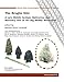 The Broglio Site: A Late Middle Archaic Habitation and Mortuary Site in the Big Muddy Watershed