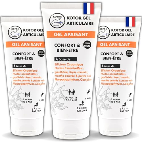 KOTOR GEL ARTICULAIRE | LOT DE 3 | Apaise les Articulations & Muscles | Silicium + Harpagophytum + Camphre + Gaulthérie + Thym + Romarin + Poivre Noir +...