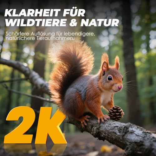 CEYOMUR Wildkamera, 850nm IR LEDs Wildkamera mit Bewegungsmelder Nachtsicht, Wildtierkamera mit 2 Zoll Display, IP66 Wasserdichter für die Überwachung von Wildtieren