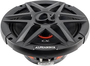 51LWpCpgh5L._AC_UF350,