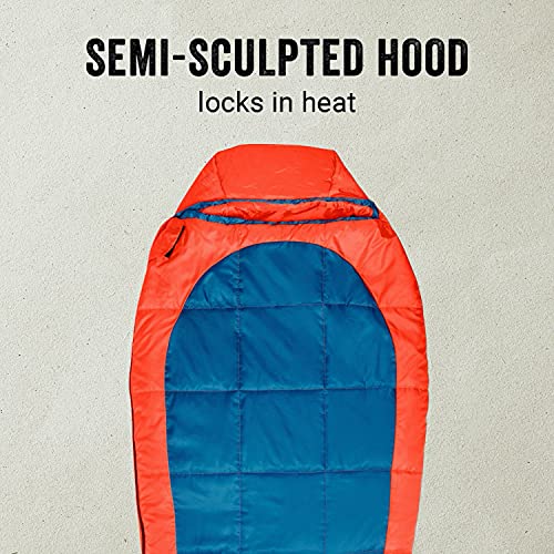 Bolsa de dormir Coleman Kompact Momia, 25 grados para interior y exterior, ligera para adultos, camping, senderismo y mochila con bolsa de compresión incluida, Spider Mum/Tiger Lily miniatura 6