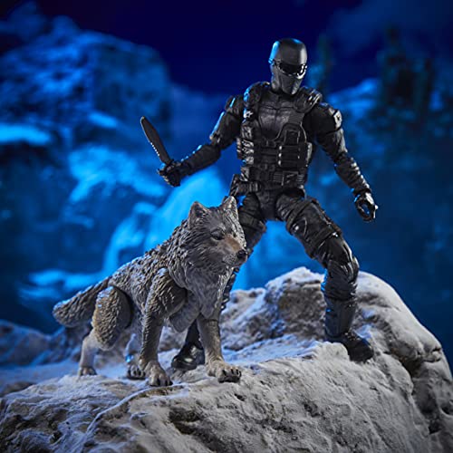 Hasbro G.i. Joe Snake Eyes And Timber Alpha Commandos Classified Series Set 6-Inch Action Figure #TOP3