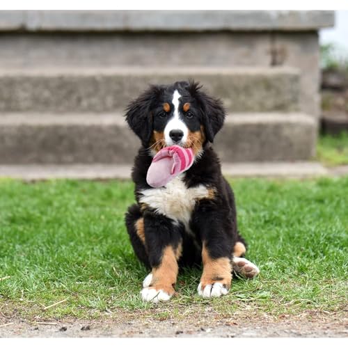 FuninCrea Hund Plüsch Spielzeug, Niedlich Plüsch Hausschuhe Spielzeug Interaktive Hundespielzeug für Mittelgroße Hunde und Welpen Kuscheltier Kauspielzeug für Verringerung der Langeweile (Rosa)