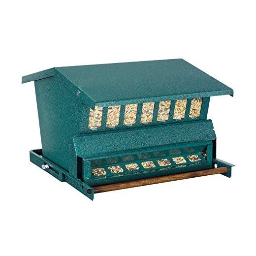 Best large bird feeders with umbrella Squirrel Resistant Bird Feeder