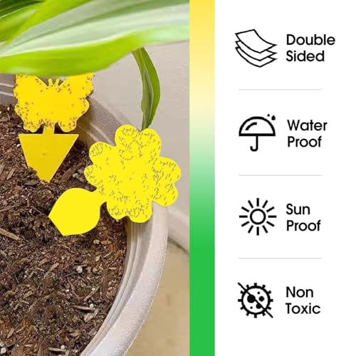 COMPOLICY 20 Stück Gelbsticker Trauermücken Bekämpfen, hochwirksame Gelbtafeln zur Schädlingsbekämpfung und zum Schutz von Zimmerpflanzen, ungiftig und umweltfreundlich