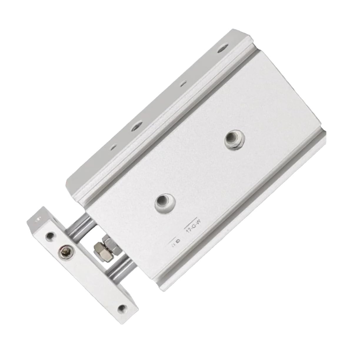 Cylindre à double arbre TR pour guidage pneumatique industriel