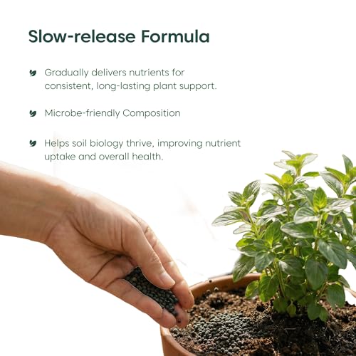 Image of Kyari Seaweed Extract Granules 1 KG - Organic Seaweed Fertilizer for All Plants, SeaBloom Plant Food for Indoor Plants, Outdoor Plants, Vegetables, Flowers & Home Garden