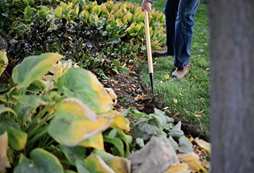 Gardening Tool for Backyard Enthusiasts