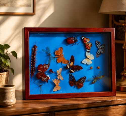 Image of Insect Pinning Kit for Beginners, Complete Bug Specimen Mounting Tools with Combination EVA Foam Board, Wing Spreading Paper, Insect Pins, Tweezers & Scissors, Butterfly Mounting Kit for Entomology