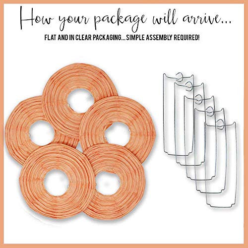 Just Artifacts 12-Inch Peach Paper Lanterns (Set of 5) - Click for More Chinese/Japanese Paper Lantern Colors & Sizes!
