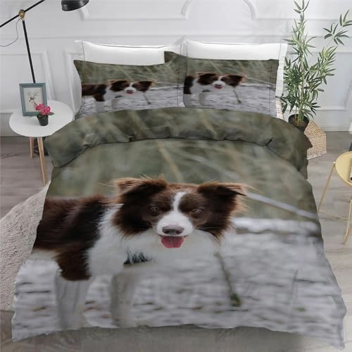 Housse de couette 200x200 microfibre douce fermeture éclair chien - 6
