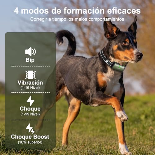 Collar de entrenamiento 7 Imagen adicional