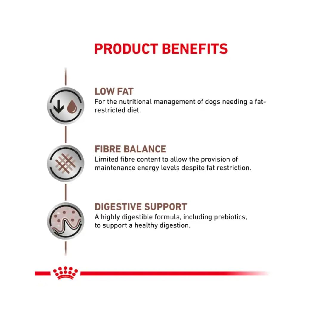 Royal Canin Gastrointestinal Low Fat Mousse | 12 x 200 g | Aliment complet diététique pour chiens adultes | Peut aider à une digestion saine