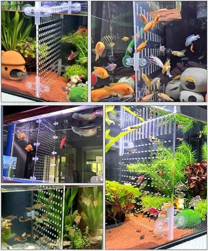 Baby Fish Tank Divider - C Acrylic Separator Board for Optimal Fish Separat, Easy Maintenance, rium Partit for Fry and Adult Fish, Adjustable Size