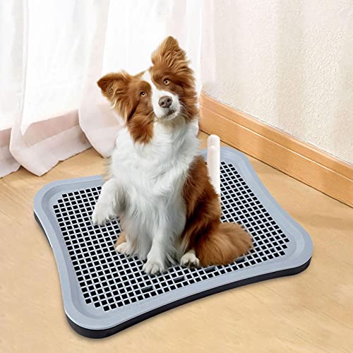 Plateau de dressage animaux pour un intérieur propre avec tapis de pot simulé - 8