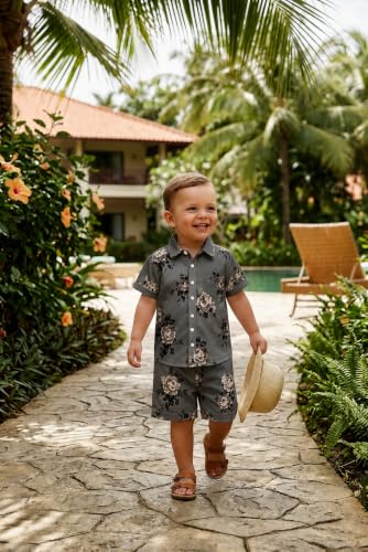 Image of Boys Shirt & Shorts Co-ord Set Kids Regular Wear Clothes Outfit