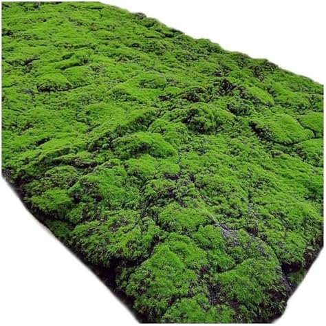 YIQIFLY Simulation Artificial Moss Mat Fake Grass Rug DIY Synthetic Turf Lawn Carpet for Wedding Home Backyard Balcony Indoor Outdoor Decor (Color : Dark Green, Size : 1x2m(3.2x6.5ft))