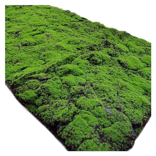 YIQIFLY Simulation Artificial Moss Mat Fake Grass Rug DIY Synthetic Turf Lawn Carpet for Wedding Home Backyard Balcony Indoor Outdoor Decor (Color : Dark Green, Size : 1x2m(3.2x6.5ft))