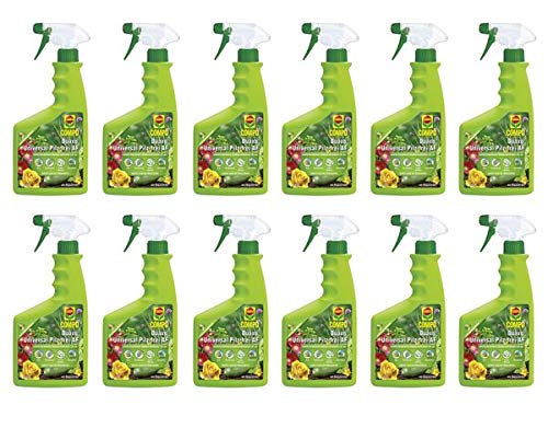 Compo 17313 Universal Plant Protector Fungus-Free AF 9 Litre Bottle – Prevents Rust Leaf Stain Fungi Roses & Ornamental Plants