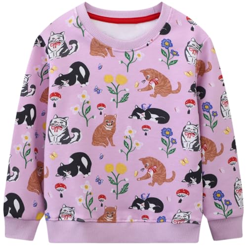 Image of Hongshilian Unisex Kids Cute Cartoon Cotton Sweater Shirt