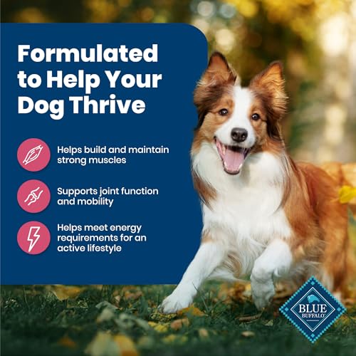 Image of Blue Buffalo Life Protection Formula Adult Dry Dog Food, Helps Build and Maintain Strong Muscles, Made with Natural Ingredients, Salmon & Brown Rice Recipe, 15-lb. Bag