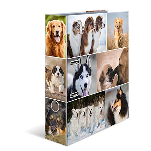 HERMA Ordner A4 Hunde Set, 10 Stück