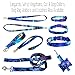 Triple Handle Dog Leash - 3 Handles at 12, 20, & 72 Inches - 6 Foot Lead - Galaxy Print on Purple Webbing - Handmade by Green Acorn Kitchen (Gold Hardware)