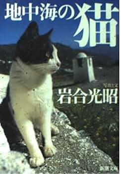 【猫派出品】 尾道市立美術館 on X: 