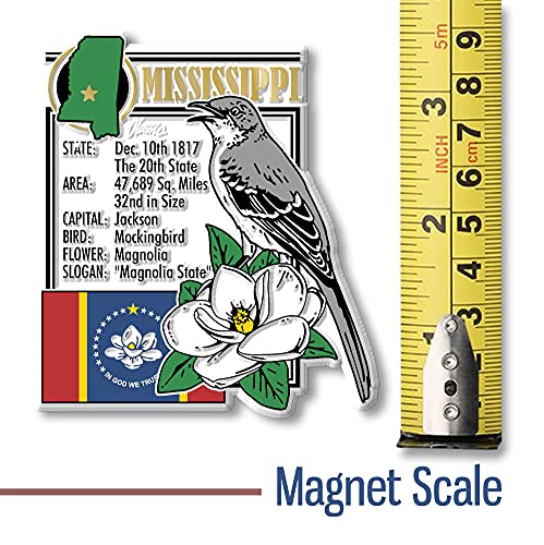 Imán decorativo Mississippi State 3 x 3.4 pulgadas miniatura 5