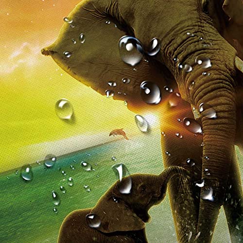 Dynh Elephant Shower Curtain, Africa Elephant And Baby Playing In Ocean At Sunrise Animal Theme Shower Curtain, Safari Art Fabric Bohemian Bathroom Curtains Accessories 12Pcs Hooks, 69X70 Inches #TOP5