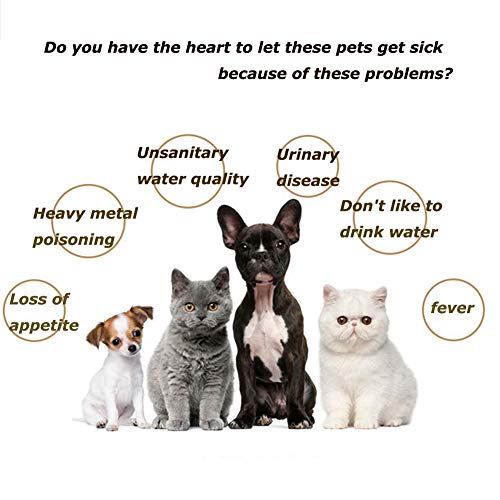 Fonte Para Gatos Bebedouro MagiPet Cisne Branco