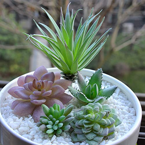 5 Pcs Artificial Succulent Plants Unpotted In Flocked Fake Realistic Succulents For Home Gardern Diy Decoration #TOP1