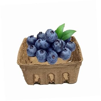 新鮮ブルーベリー プラスチック容器入り 6オンスラズベリークラムシェル170grブルーベリープラスチック
