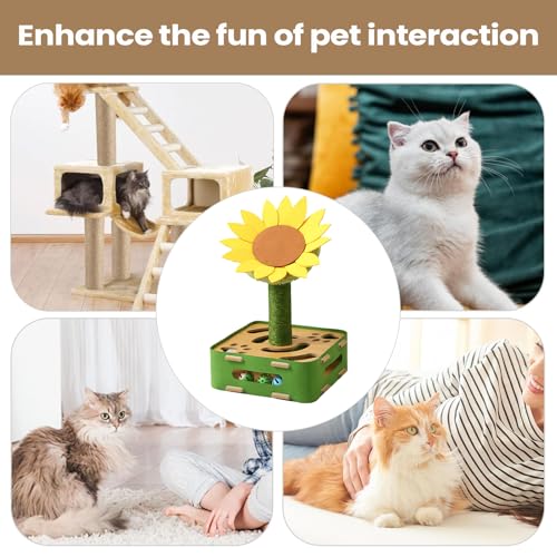 Jeu interactif pour chats avec grattoir intégré pour éducation cognitive
