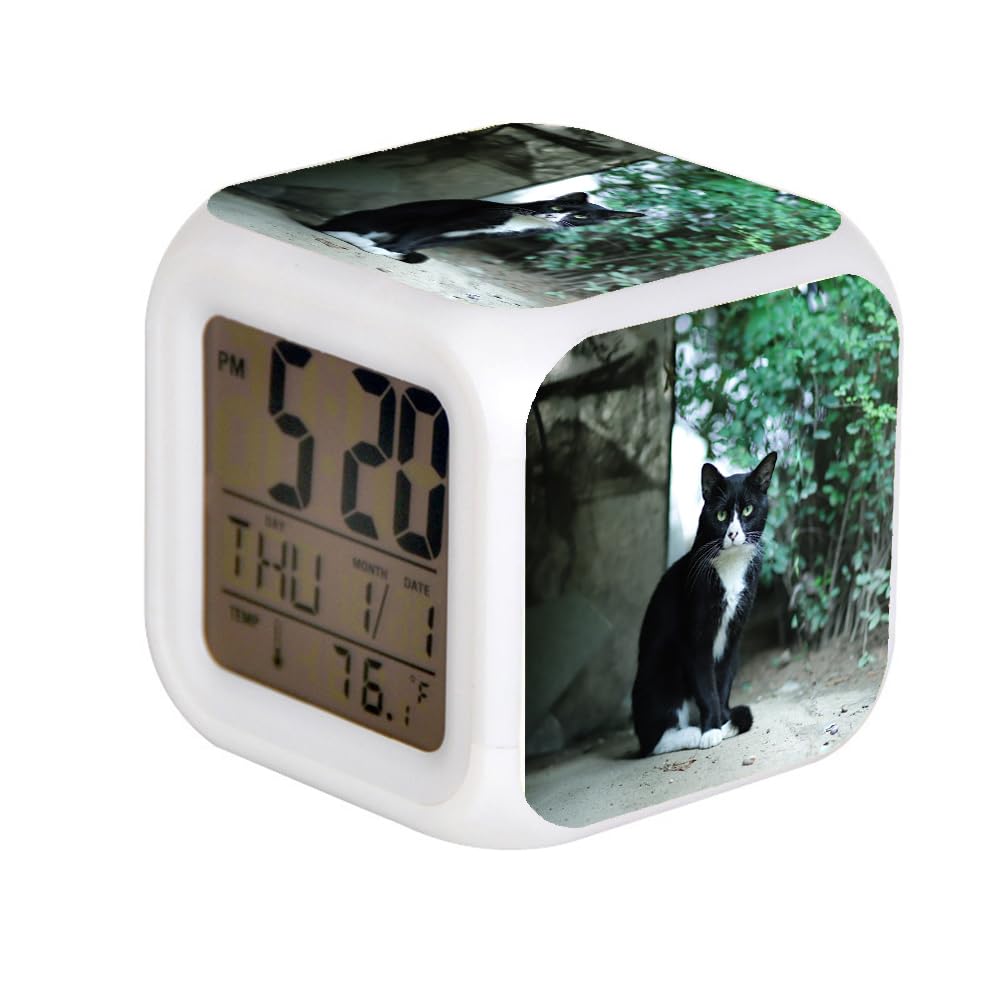 7 Color Change LED Digital Alarm Clock with Date Alarm Thermometer Home Desktop Child Alarm Clock Cat Near Plants