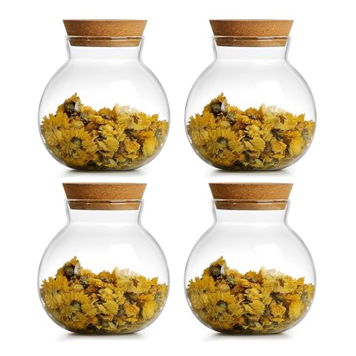 DNIENKGE 17oz Spherical Glass Jar with Cork Lid Airtight - Kitchen Glass Jar for Preserving and Storing Coffee, Spice, Beans, Sugar, Apothecary etc (6)