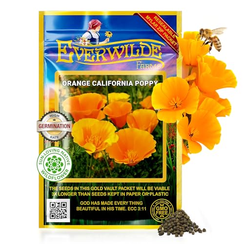 Everwilde Orange California Poppy Seeds XL 1,000 Count – Bright Orange Wildflowers – Drought-Tolerant, Easy-to-Grow Annual – Perfect for Gardens, Containers & Landscapes – Gold Vault Packet