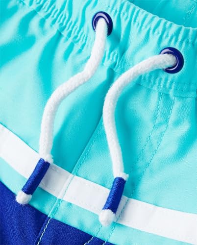 Image of Gymboree Boys and Toddler Swim Trunks