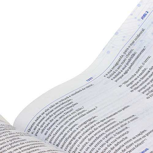 Bíblia de Estudo do Discipulado NAA: Nova Almeida Atualizada (NAA)