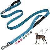 Fida 6 FT Heavy Duty Dog Leash with 2 Comfortable Padded Handles, Traffic Handle & Advanced Easy Snap Hook, Reflective Walking Lead for Large, Medium & Small Breed Dogs, Blue