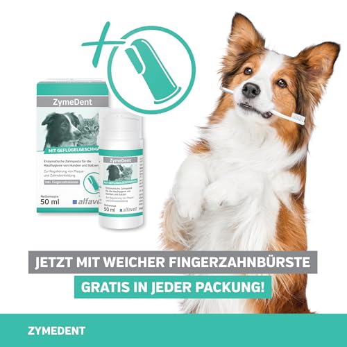 alfavet ZymeDent, Enzymatische Zahnpasta für Hund und Katze bei Plaque, Zahnstein, Maulgeruch und Zahnfleischentzündung, Tube 50ml mit Fingerzahnbürste