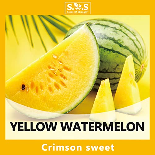 5 Variety Melon Fruit Seeds Packets - Crimson Watermelon, Green Honeydew Melon, Melothria Scabra, Cantaloupe And Yellow Watermelon For Your Fruit Garden W/Gift Box Planting Instructions #TOP3