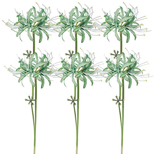 Image of 6 Stems 26.38 Inch Artificial Lycoris Radiata Spider Lily Flowers for Home Garden Decoration (Green)