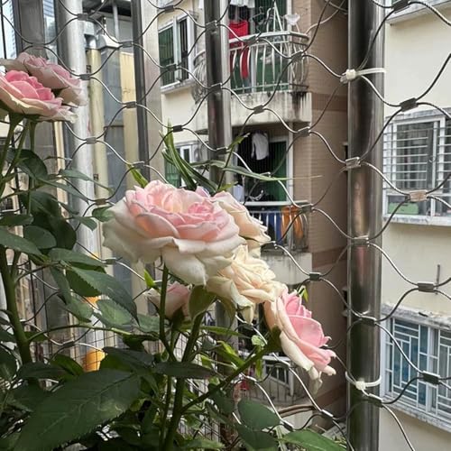 Grillage en acier inoxydable 304 de 2mm pour balcon et clôture extérieure