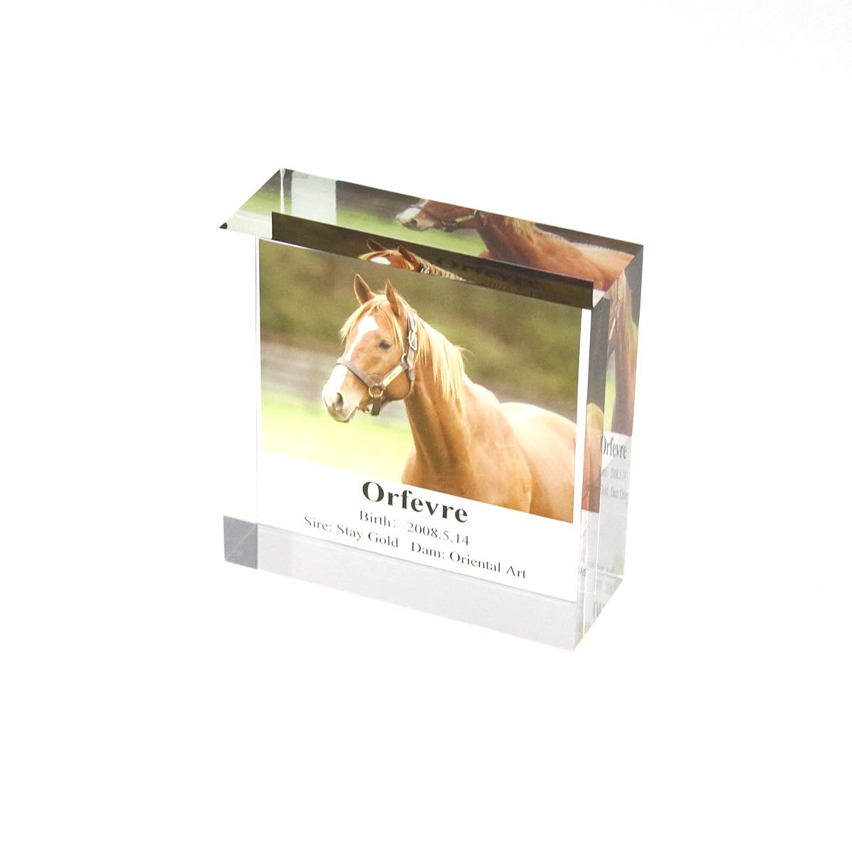 Amazon.co.jp: 匿名 黄金巨匠 Orfevre object 競馬 アクリル製 置物 