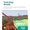 Outward Hound DayPak Green Dog Saddleback Backpack - Adventure Gear for Large Dogs