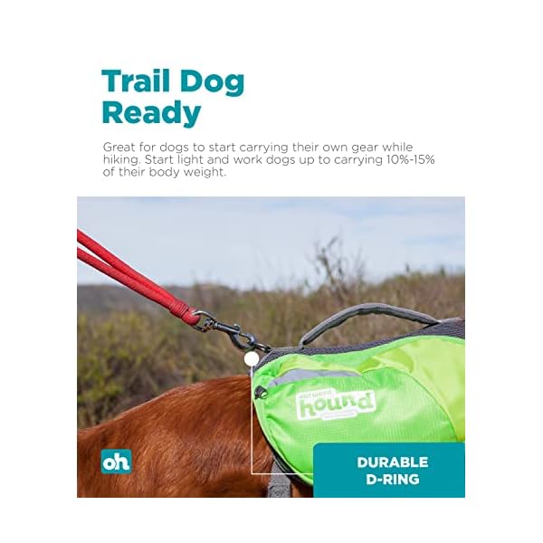 Outward Hound DayPak Green Dog Saddleback Backpack - Adventure Gear for Large Dogs