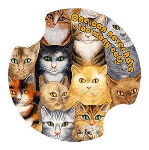 Can Never Have Too Many Cats Absorbent Carster Coasters Set of 2