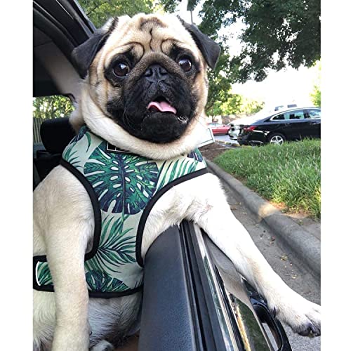 Image of HDKUW Dog Harness and Leash Set, Adjustable Dog Vest Harness Set, Outdoor Walking Vest Harness for French Bulldog and Puppy Small Medium Large Dog XL