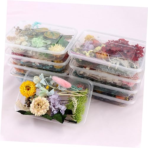 NOLITOY 1 Conjunto De Flores Secas Preservadas Faça Você Mesmo Pétalas Prensadas Flores Secas Arte D